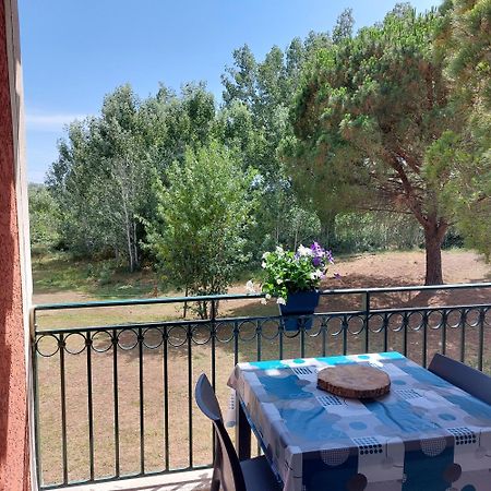 Aux Abords Du Lac Apartment Arles Exterior foto