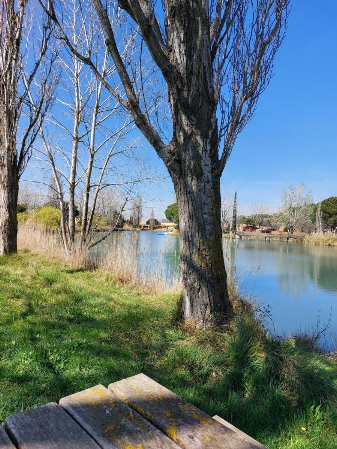 Aux Abords Du Lac Apartment Arles Exterior foto