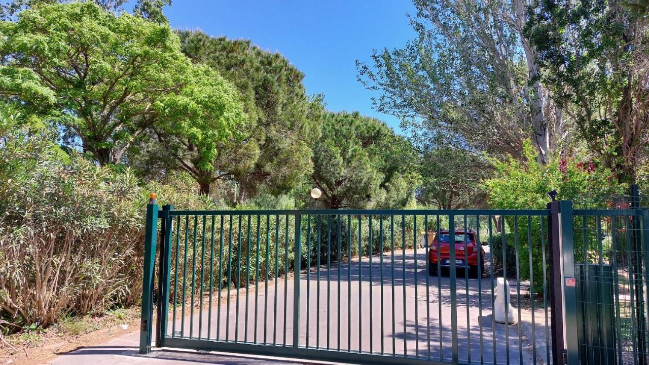 Aux Abords Du Lac Apartment Arles Exterior foto